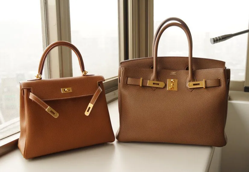 Превью статьи Kelly vs Birkin