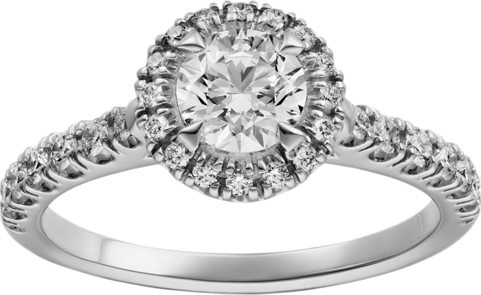 Cartier Cartier Destinée