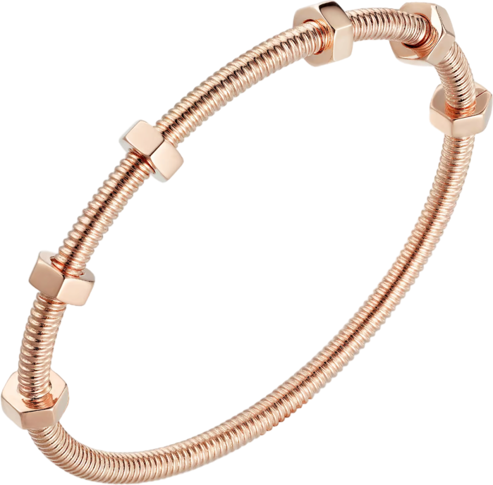 Cartier Ecrou de Cartier