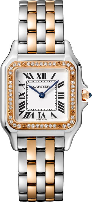 Cartier Panthère de Cartier watch