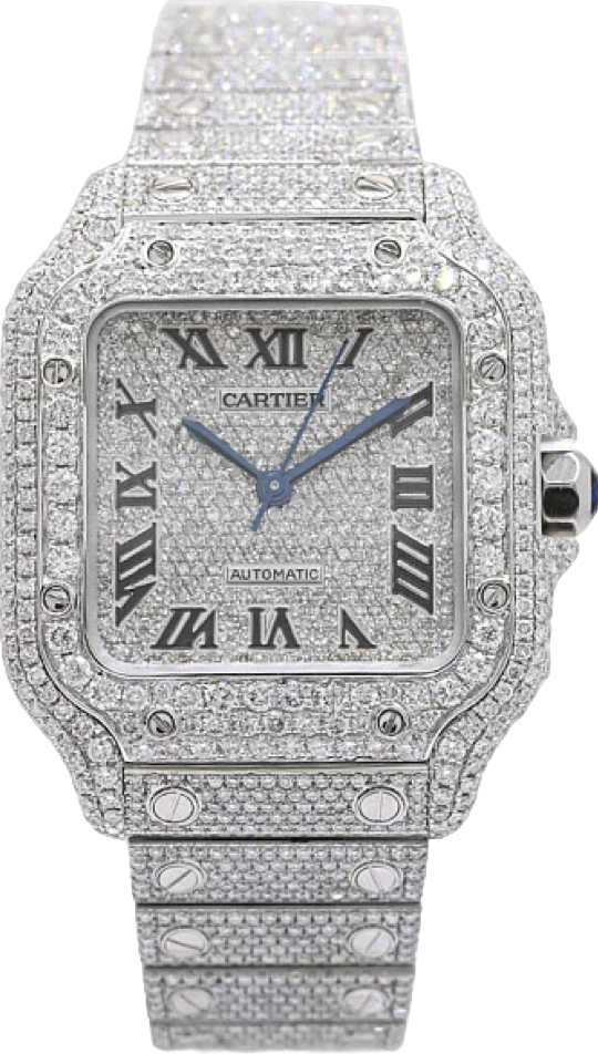 Cartier SANTOS DE CARTIER CUSTOM