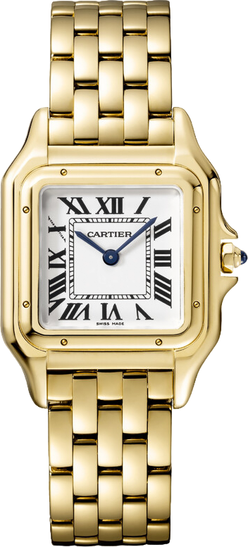 Cartier Panthère de Cartier