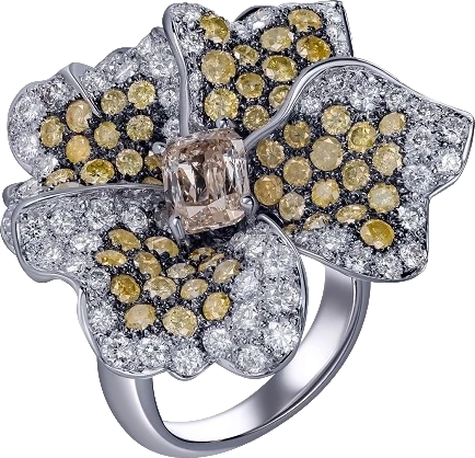 Кольцо RalfDiamonds DIAMOND FLOWER RING 6.74 CT RDflower6.74ct (id 32890)