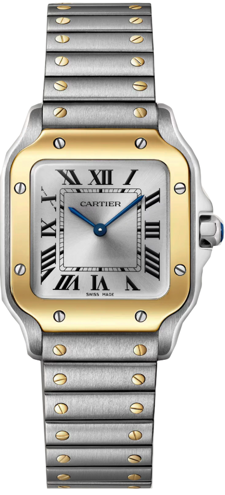 Santos De Cartier Watch W2SA0033