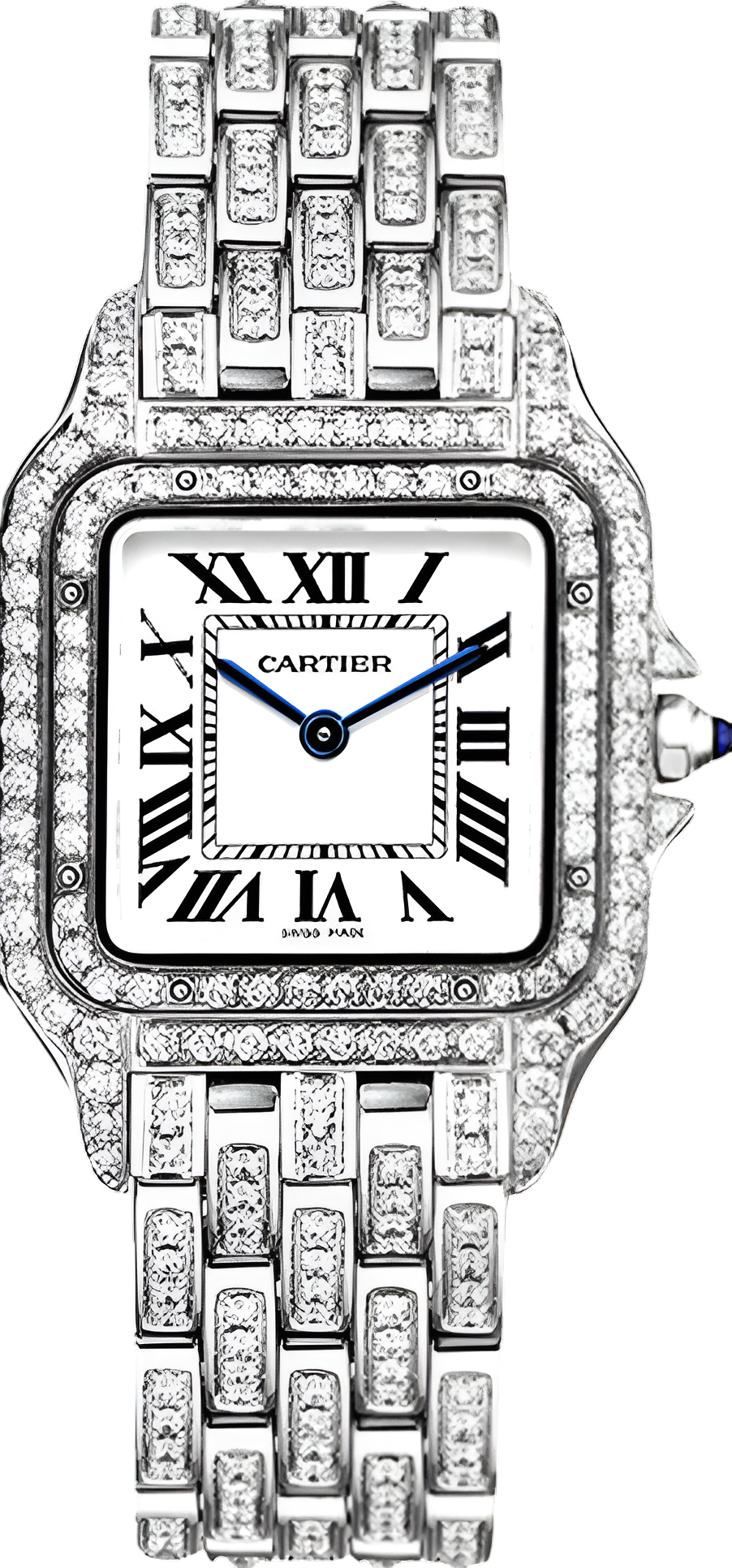 Cartier Panthere de Cartier