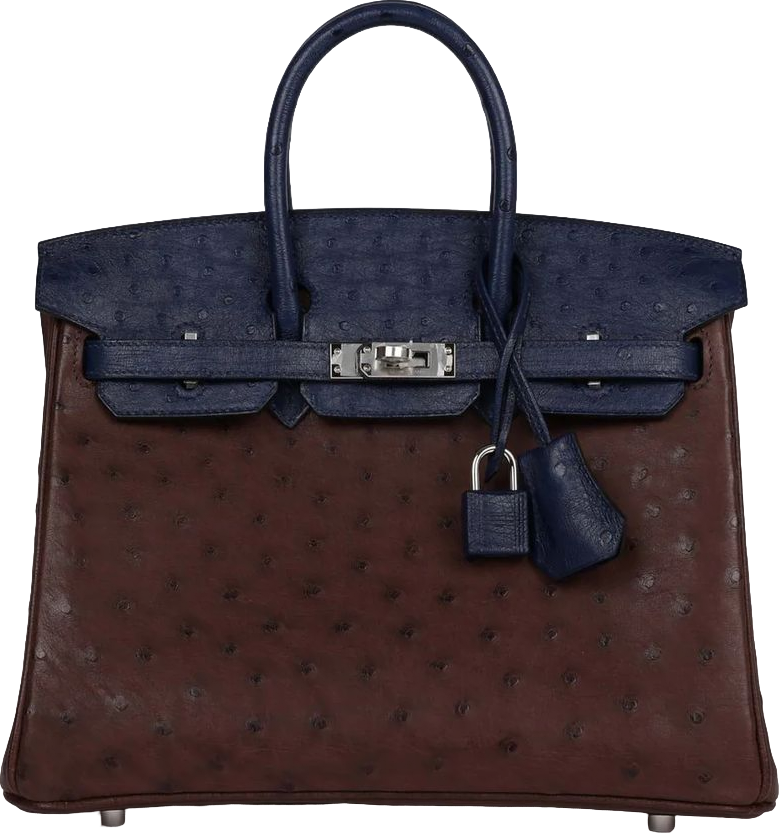 Hermes Bi-Color Birkin 25 Rouge Sellier and Bleu Saphir Ostrich Palladium Hardware Hermes Bi-Color Birkin 25 Rouge Sellier and Bleu Saphir Ostrich Palladium Hardware