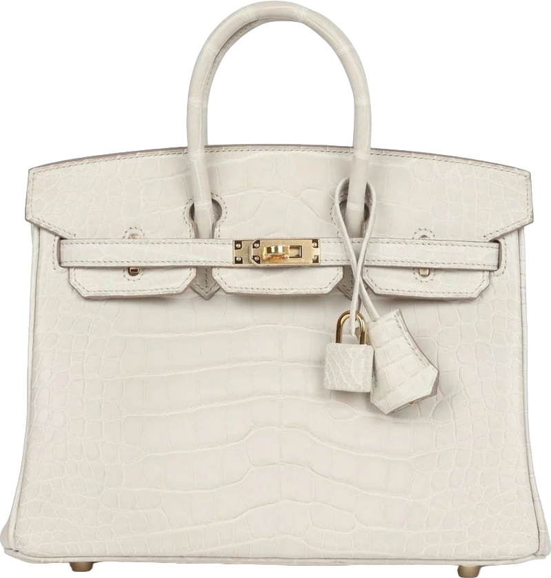 Hermes Birkin 25 Beton Matte Alligator Gold Hardware Hermes Birkin 25 Beton Matte Alligator Gold Hardware