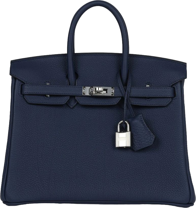 Hermes Birkin 25 Bleu Navy Togo Palladium Hardware
