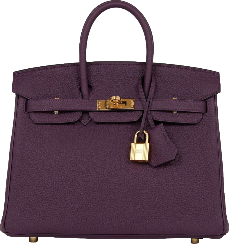 Hermes Birkin 25 Cassis Togo Gold Hardware