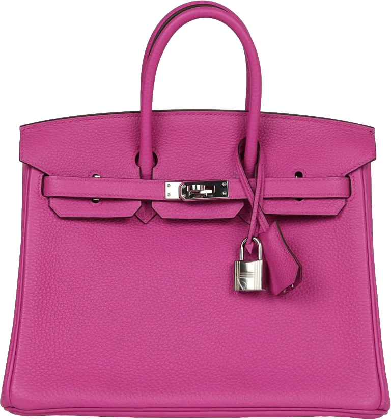 Hermes Birkin 25 Magnolia Togo Palladium Hardware