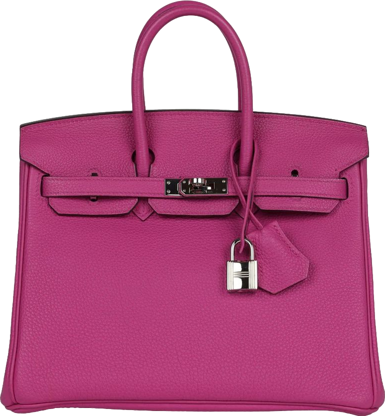Hermes Birkin 25 Magnolia Togo Palladium Hardware Hermes Birkin 25 Magnolia Togo Palladium Hardware