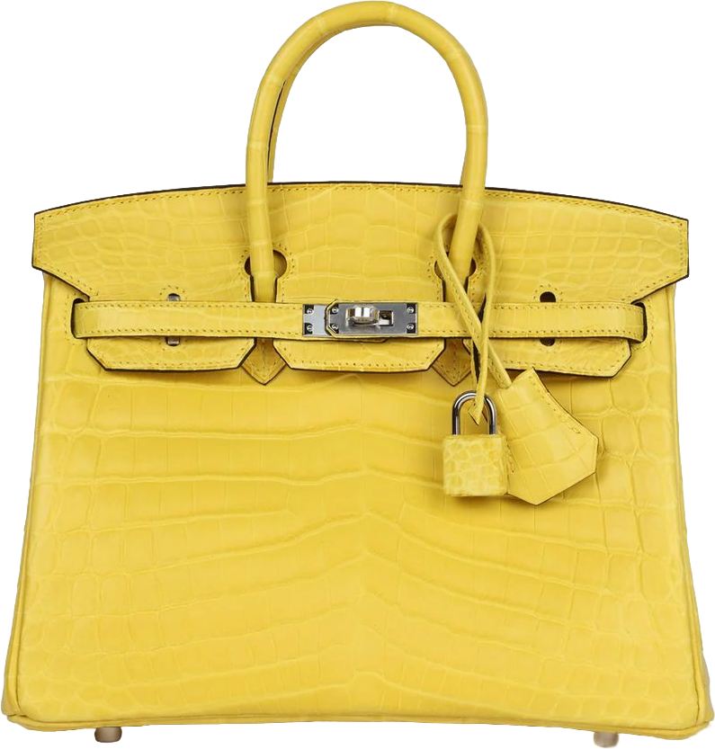 Hermes Birkin 25 Mimosa Matte Niloticus Crocodile Palladium Hardware Hermes Birkin 25 Mimosa Matte Niloticus Crocodile Palladium Hardware