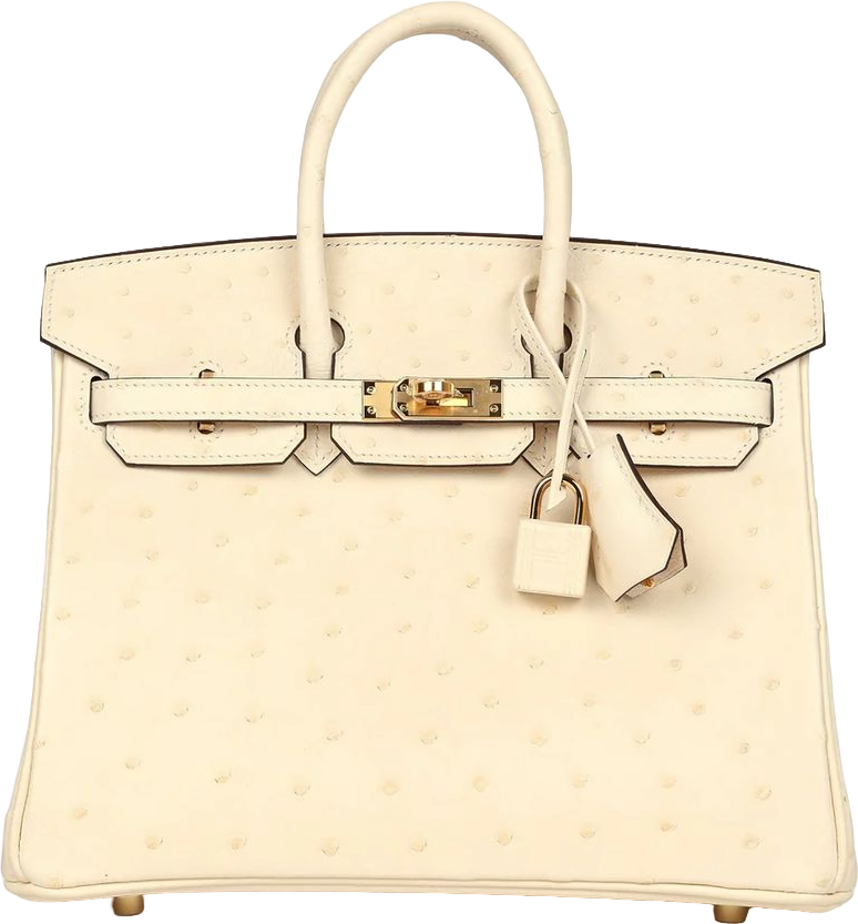 Hermes Birkin 25 Nata Ostrich Gold Hardware Hermes Birkin 25 Nata Ostrich Gold Hardware