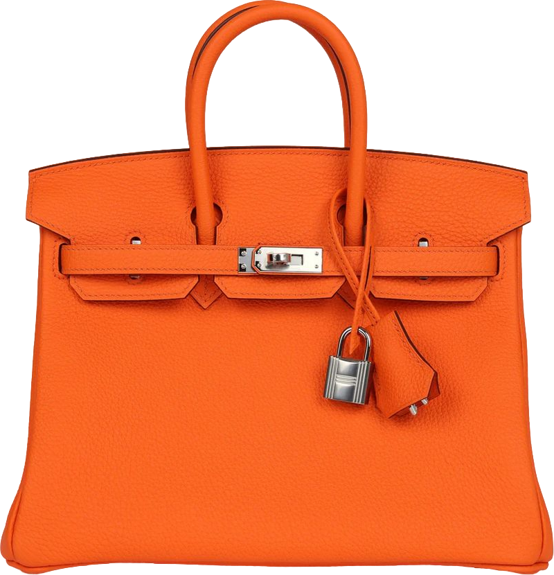 Hermes Birkin 25 Orange Minium Togo Palladium Hardware