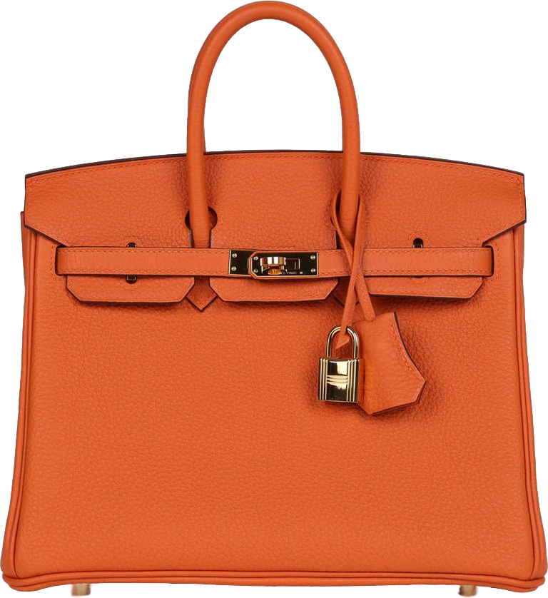 Hermes Birkin 25 Orange Togo Gold Hardware