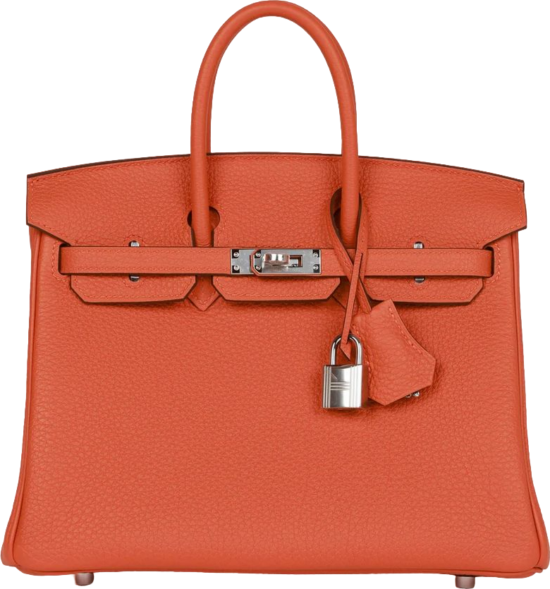 Hermes Birkin 25 Orange Togo Palladium Hardware Hermes Birkin 25 Orange Togo Palladium Hardware