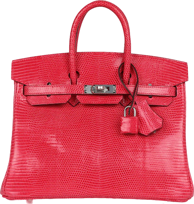 Hermes Birkin 25 Rose Extreme Varanus Niloticus Lizard Palladium Hardware Hermes Birkin 25 Rose Extreme Varanus Niloticus Lizard Palladium Hardware