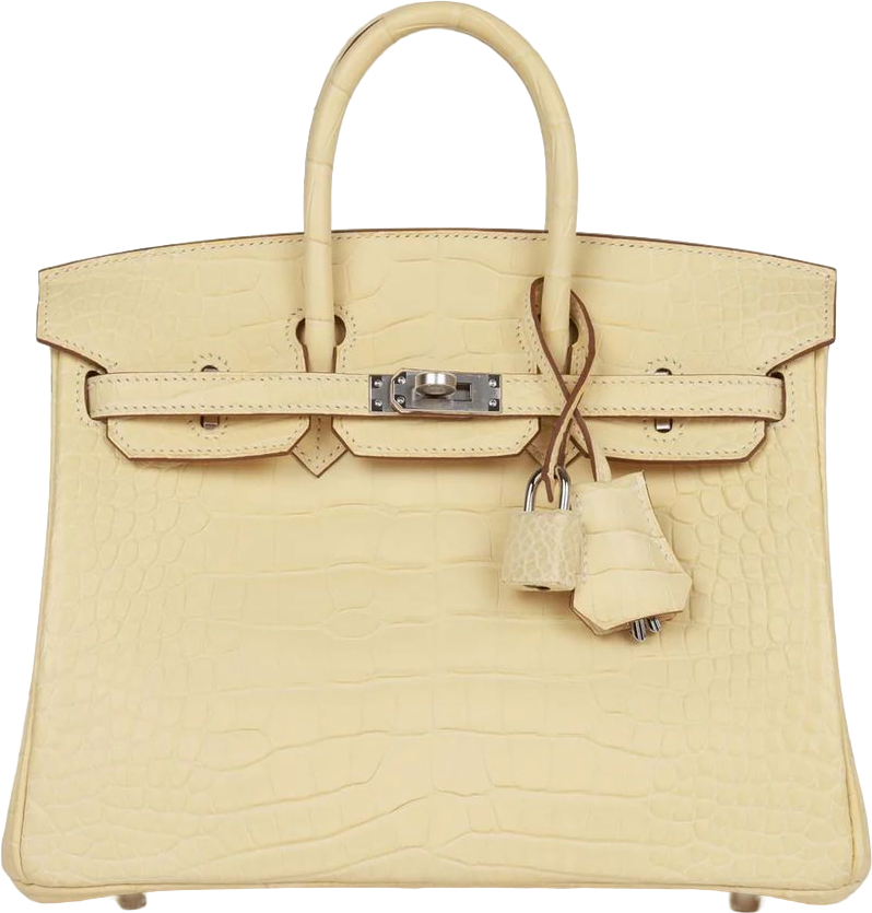 Hermes Birkin 25 Vanille Matte Alligator Palladium Hardware