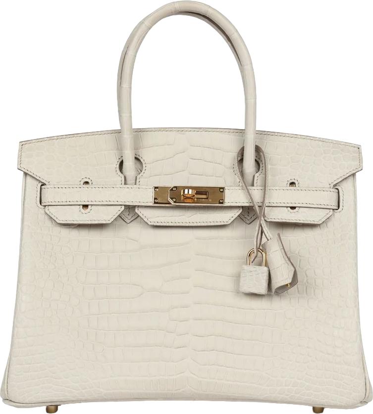 Hermes Birkin 30 Beton Matte Porosus Crocodile Gold Hardware Hermes Birkin 30 Beton Matte Porosus Crocodile Gold Hardware