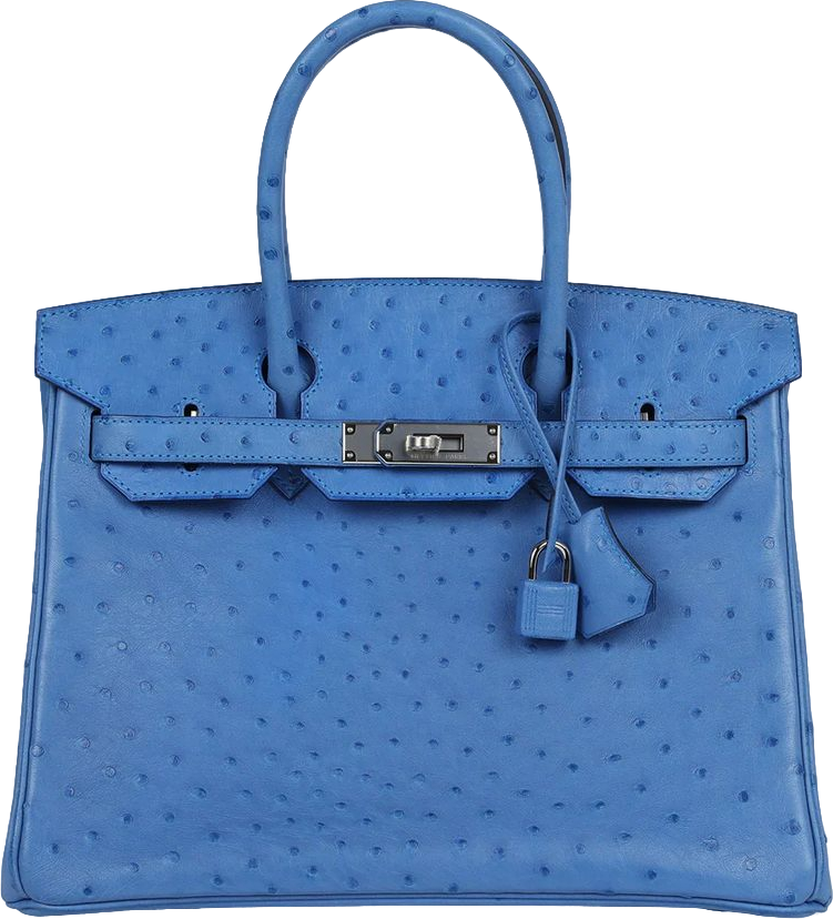 Hermes Birkin 30 Bleuet Ostrich Palladium Hardware