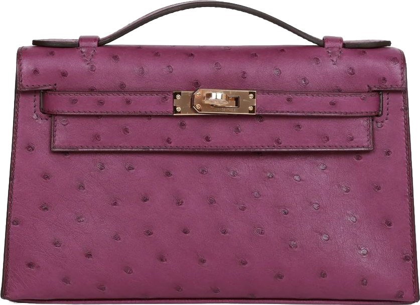 Hermes Kelly Pochette Anemone Ostrich Permabrass Hardware Hermes Kelly Pochette Anemone Ostrich Permabrass Hardware