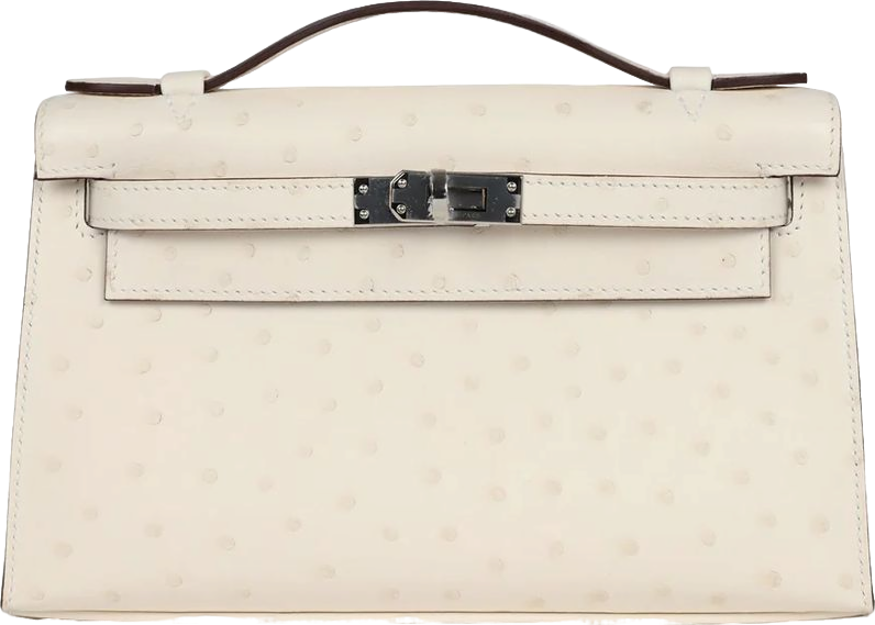 Hermes Kelly Pochette Nata Ostrich Palladium Hardware