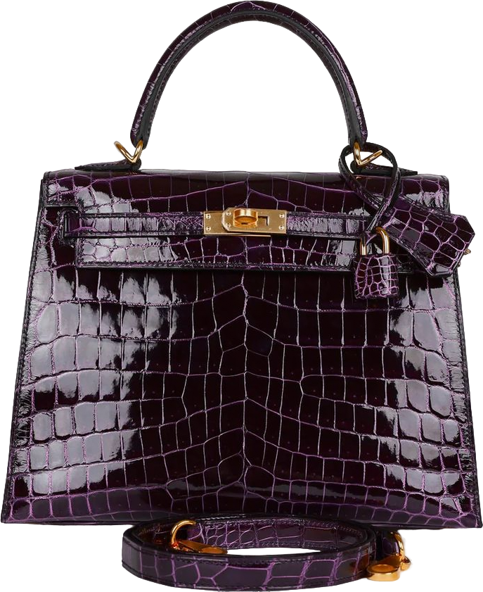 Hermes Kelly Sellier 25 Aubergine Shiny Niloticus Crocodile Gold Hardware Hermes Kelly Sellier 25 Aubergine Shiny Niloticus Crocodile Gold Hardware