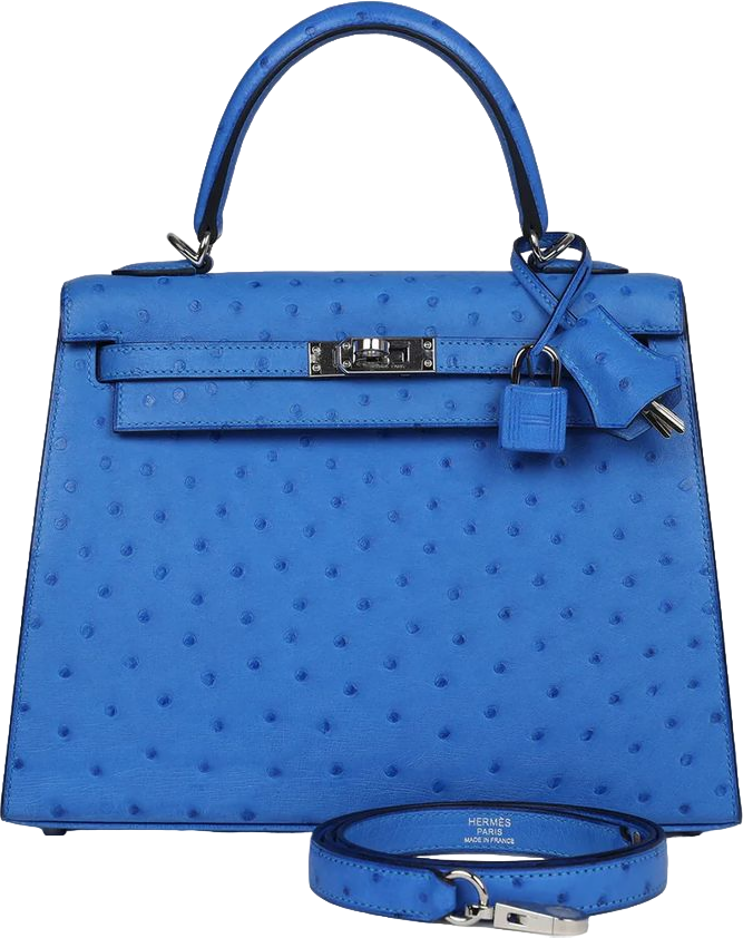 Hermes Kelly Sellier 25 Bleuet Ostrich Palladium Hardware