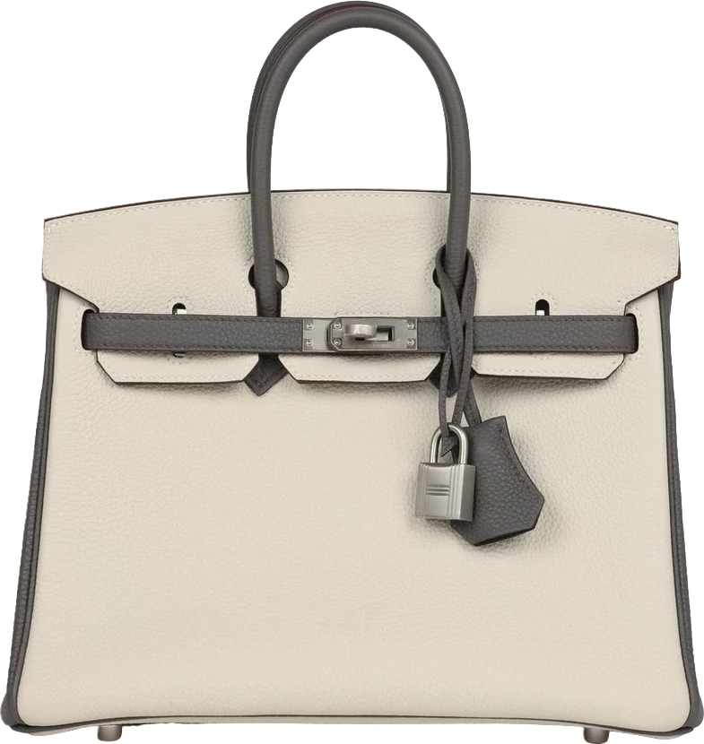 Hermes Special Order (HSS) Birkin 25 Beton and Etain Togo Brushed Palladium Hardware Hermes Special Order (HSS) Birkin 25 Beton and Etain Togo Brushed Palladium Hardware