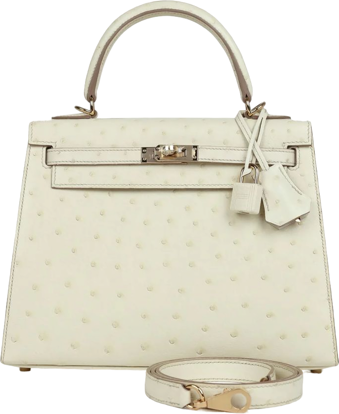 Hermes Special Order (HSS) Kelly Sellier 25 Nata Verso Ostrich Permabrass Hardware