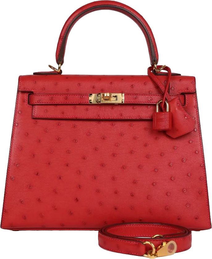 Hermes Special Order (HSS) Kelly Sellier 25 Rouge Vif Verso Ostrich Gold Hardware