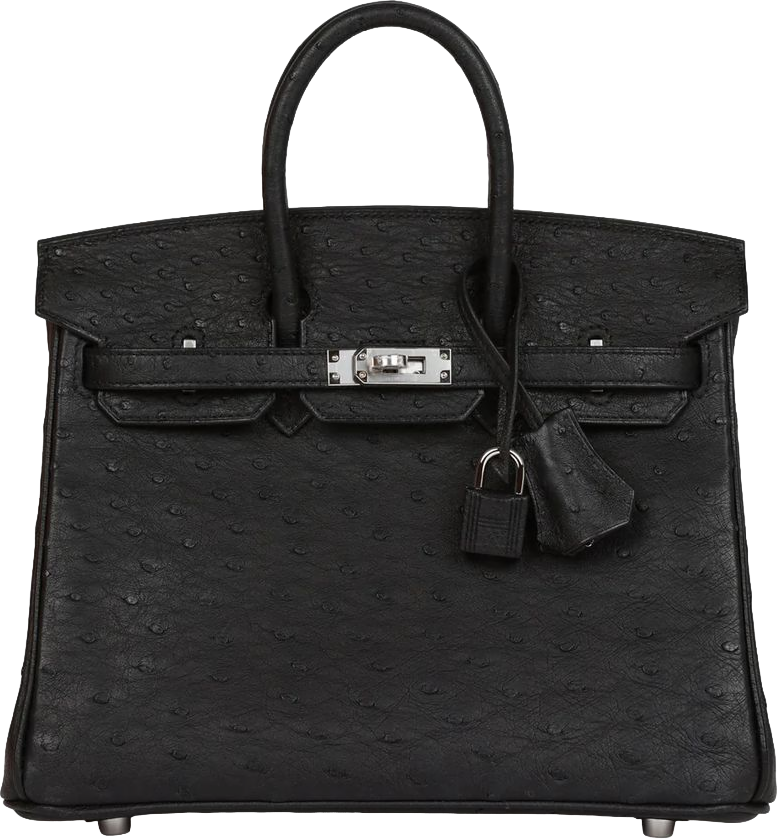 Hermes Birkin 25 Black Ostrich Palladium Hardware Hermes Birkin 25 Black Ostrich Palladium Hardware