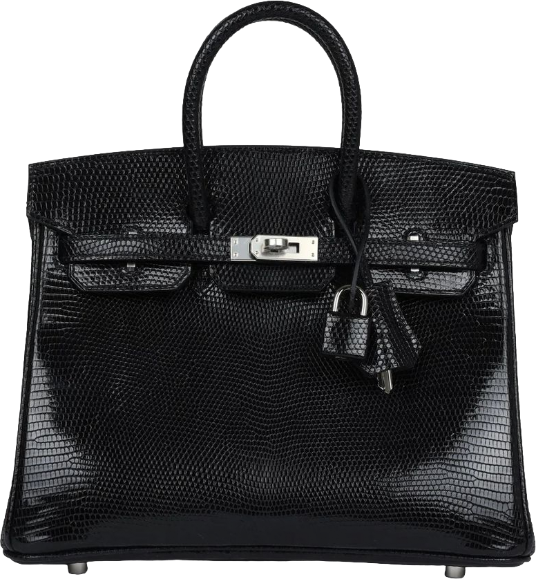 Hermes Birkin 25 Black Shiny Varanus Niloticus Lizard Palladium Hardware Hermes Birkin 25 Black Shiny Varanus Niloticus Lizard Palladium Hardware