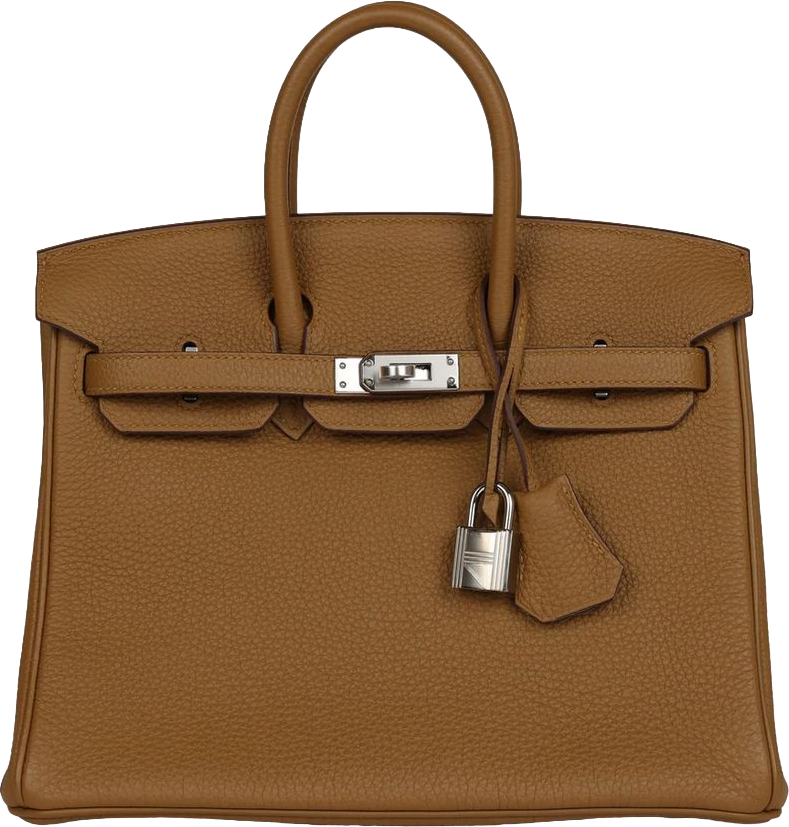 Hermes Birkin 25 Bronze D'or Verso Togo Palladium Hardware Hermes Birkin 25 Bronze D'or Verso Togo Palladium Hardware