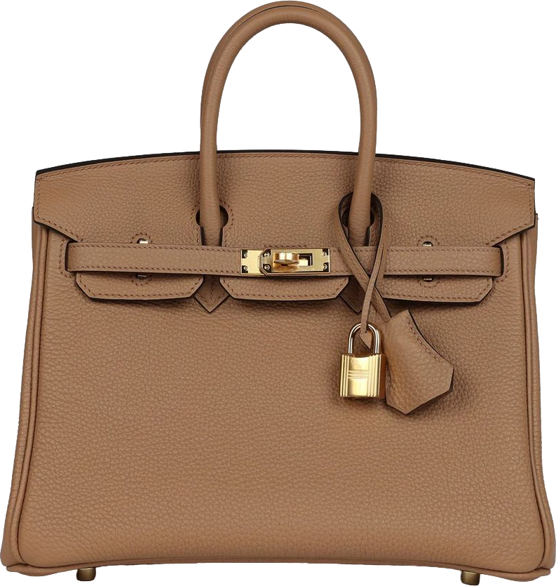 Hermes Birkin 25 Chai Togo Gold Hardware