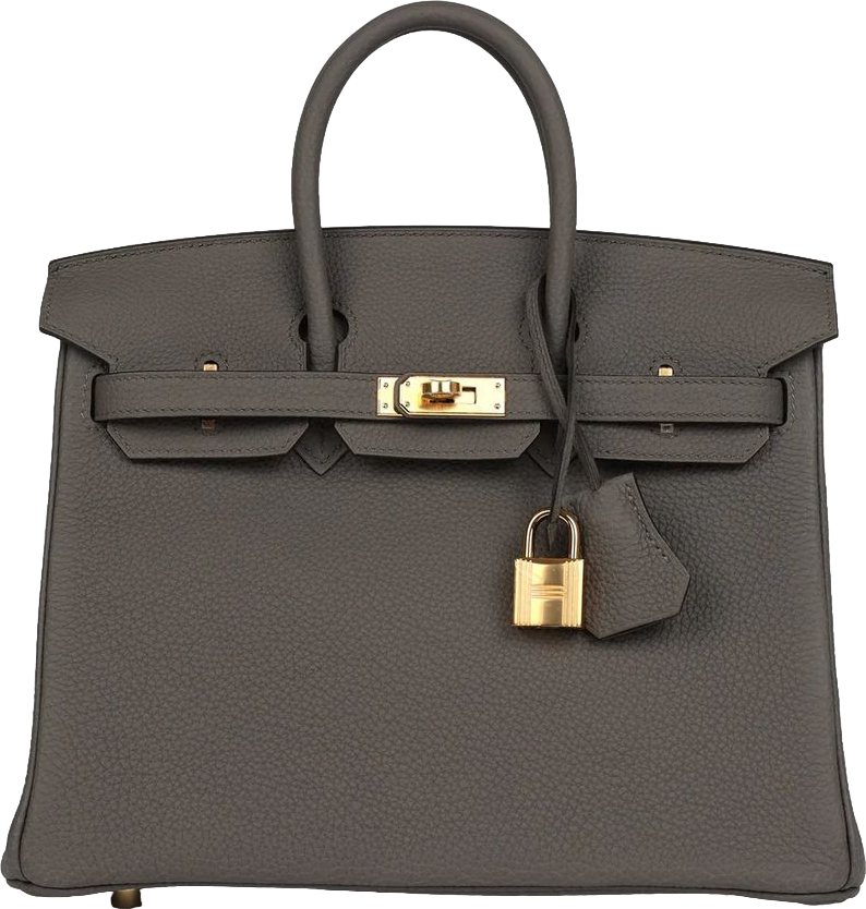 Hermes Birkin 25 Etain Togo Gold Hardware