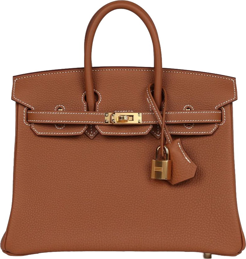 Hermes Birkin 25 Gold Togo Gold Hardware Hermes Birkin 25 Gold Togo Gold Hardware