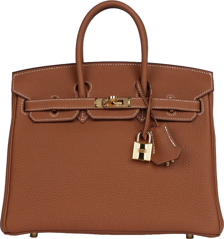 Hermes Birkin 25 Gold Togo Gold Hardware