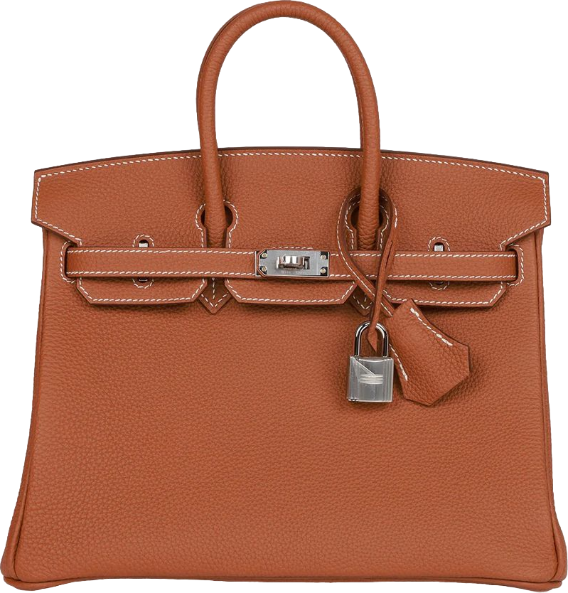 Hermes Birkin 25 Gold Togo Palladium Hardware