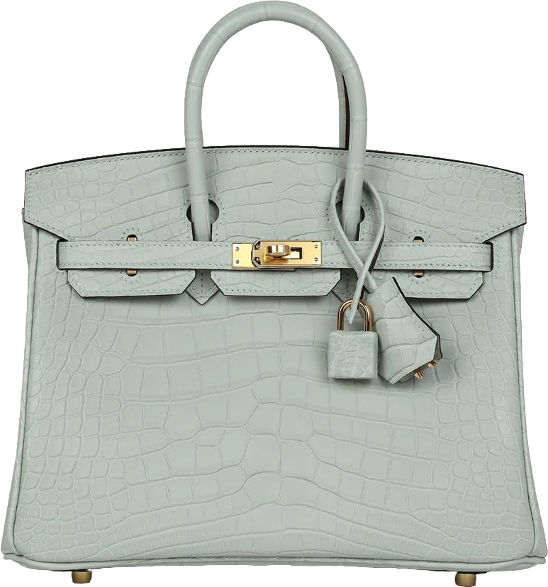 Hermes Birkin 25 Gris Neve Matte Alligator Gold Hardware Hermes Birkin 25 Gris Neve Matte Alligator Gold Hardware