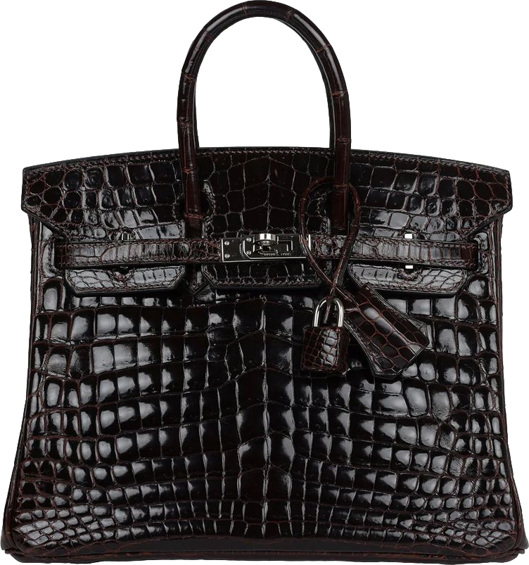 Hermes Birkin 25 Havane Shiny Niloticus Crocodile Palladium Hardware