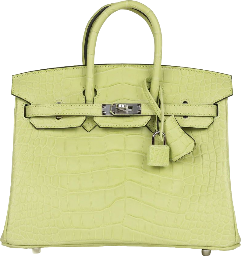 Hermes Birkin 25 Jaune Bourgeon Matte Alligator Palladium Hardware