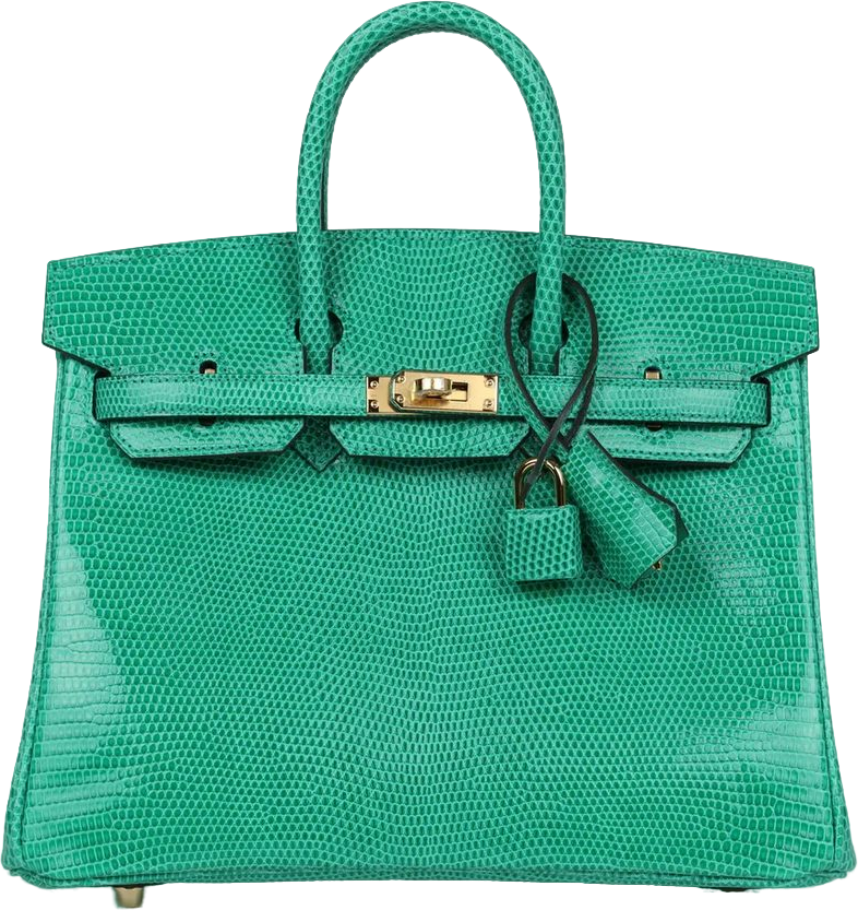 Hermes Birkin 25 Menthe Varanus Niloticus Lizard Gold Hardware Hermes Birkin 25 Menthe Varanus Niloticus Lizard Gold Hardware