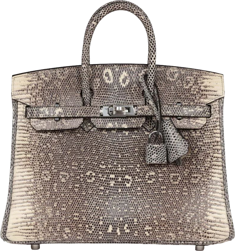 Hermes Birkin 25 Ombre Varanus Salvator Lizard Palladium Hardware Hermes Birkin 25 Ombre Varanus Salvator Lizard Palladium Hardware
