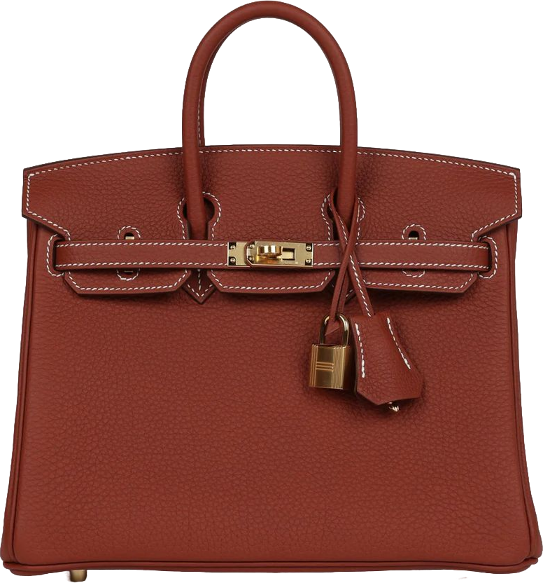 Hermes Birkin 25 Sienne Togo Gold Hardware