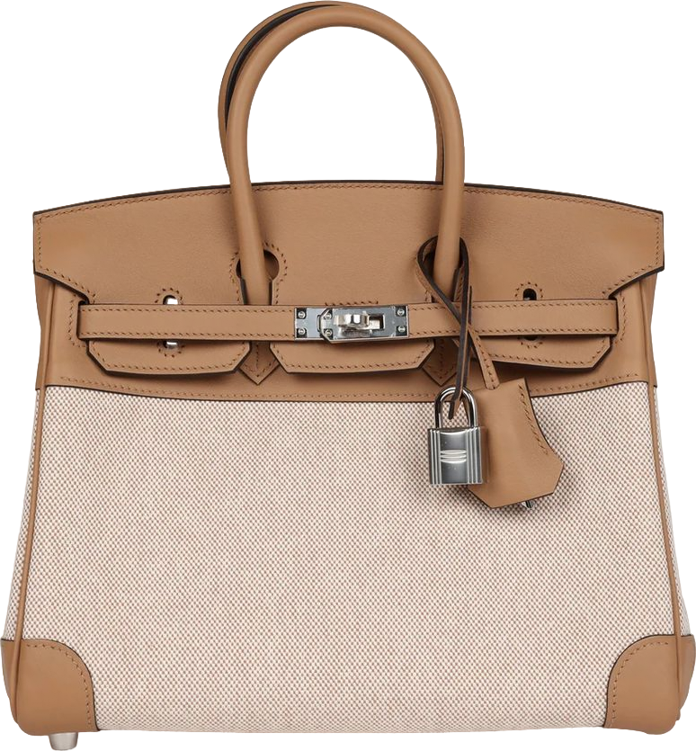 Hermes Birkin 25 Toile H and Chai Swift Palladium Hardware Hermes Birkin 25 Toile H and Chai Swift Palladium Hardware