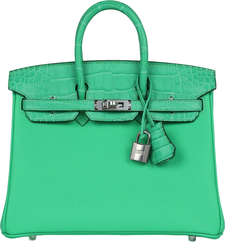 Hermes Birkin 25 Vert Comics Togo and Matte Alligator Touch Palladium Hardware