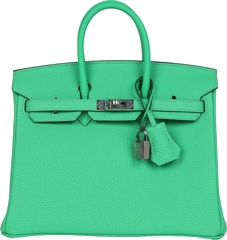 Hermes Birkin 25 Vert Comics Togo Palladium Hardware