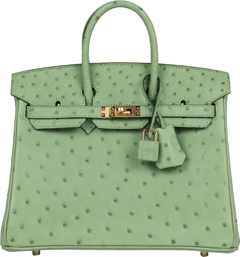 Hermes Birkin 25 Vert Criquet Ostrich Gold Hardware