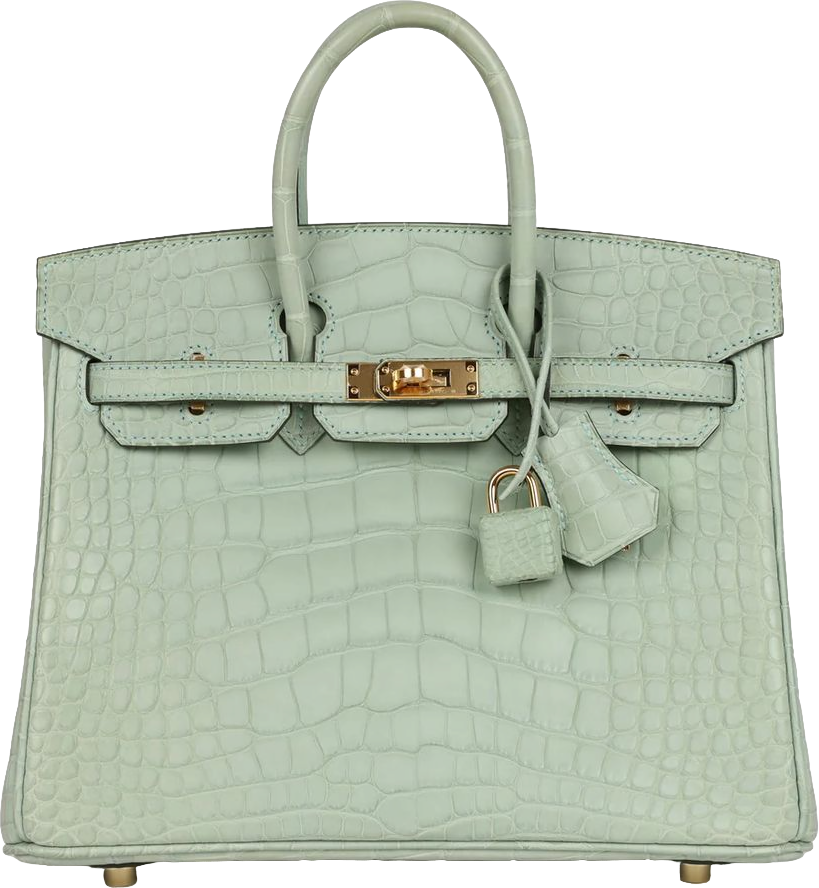 Hermes Birkin 25 Vert D'Eau Matte Alligator Gold Hardware